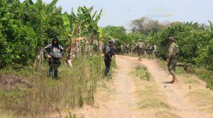 Gendarmería asegura 25 mil litros de hidrocarburo en Tihuatlán Gendarmería asegura 25 mil litros de hidrocarburo en Tihuatlán
