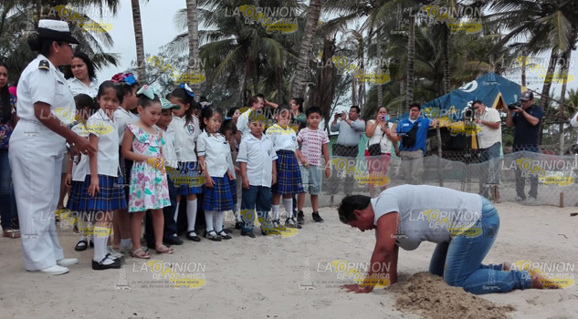 En riesgo, hábitat de la tortuga lora