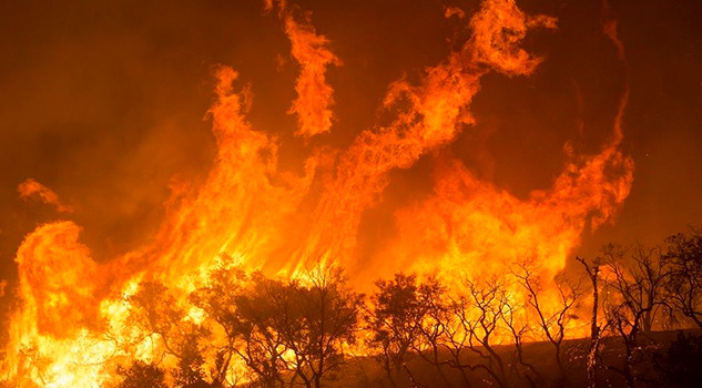 Incendio acaba con 200 hectáreas de manglar en Campeche Incendio acaba con 200 hectáreas de manglar en Campeche