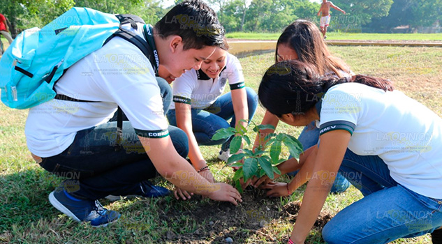 Elogia la participación de escuelas