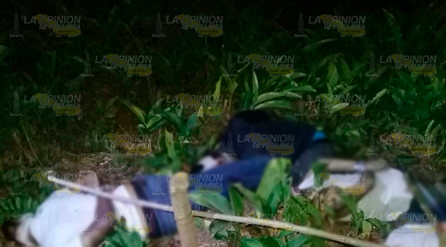 Los hallan maniatados y con el tiro de gracia en Amatlán Los hallan maniatados y con el tiro de gracia en Amatlán