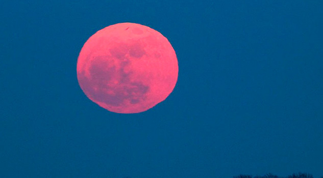 Luna Rosa 2019: ¿Cómo? ¿Dónde? Luna Rosa 2019: ¿Cómo? ¿Dónde?