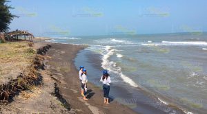 Mayor riesgo para tortuga marina por temporada vacacional en Tuxpan, advierten