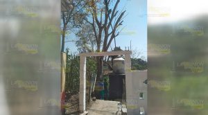Niños de primaria en Tahuaxni sufren falta de agua; la acumulan con las lluvias Niños de primaria en Tahuaxni sufren falta de agua; la acumulan con las lluvias