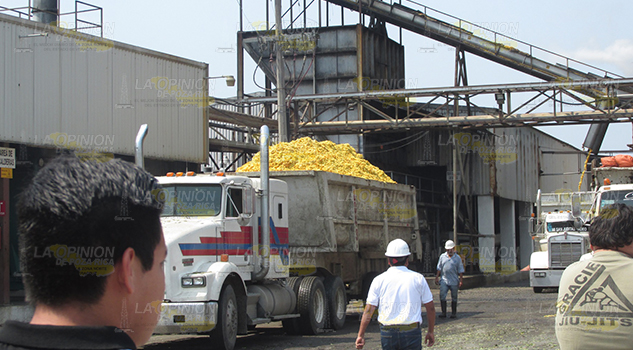 Podría empeorar el panorama, citricultores de Álamo Podría empeorar el panorama, citricultores de Álamo