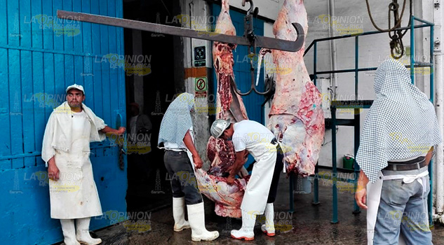 Sube 10% matanza en rastro de Tuxpan; Cuaresma no afectó consumo de carne Sube 10% matanza en rastro de Tuxpan; Cuaresma no afectó consumo de carne