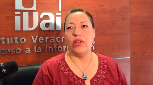 Sueldos de funcionarios de Veracruz deben transparentarse: IVAI Sueldos de funcionarios de Veracruz deben transparentarse: IVAI