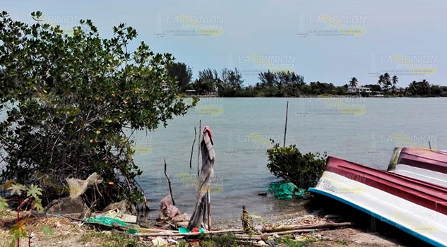 Urgen activistas a pasar del discurso a las acciones en el cuidado de la tierra Urgen activistas a pasar del discurso a las acciones en el cuidado de la tierra