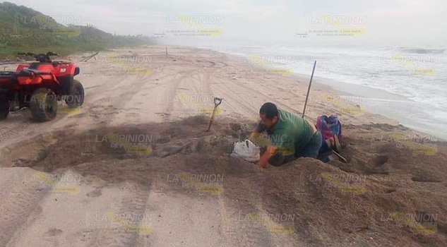 Vigilan zona de desove de las tortugas en Chaparrales Vigilan zona de desove de las tortugas en Chaparrales
