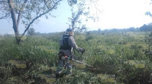 Habitantes y autoridades de la Unión ayudan al turismo