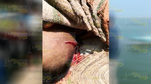 ¡Tragedia en Tecolutla, turista y elemento de FC se ahogan!