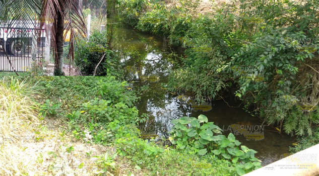 Alcalde de Cazones Zenón Pacheco deja sin agua a la ciudadanía