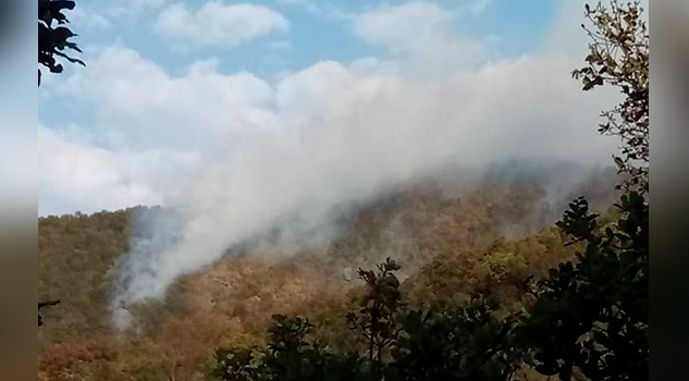 El 90% de los recientes incendios son por impacto humano: Semarnat