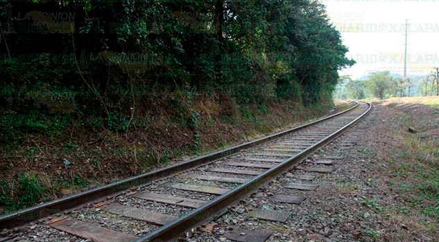 Proyecto de tren ligero, aún sin aterrizar; se ha querido realizar desde hace más de 100 años