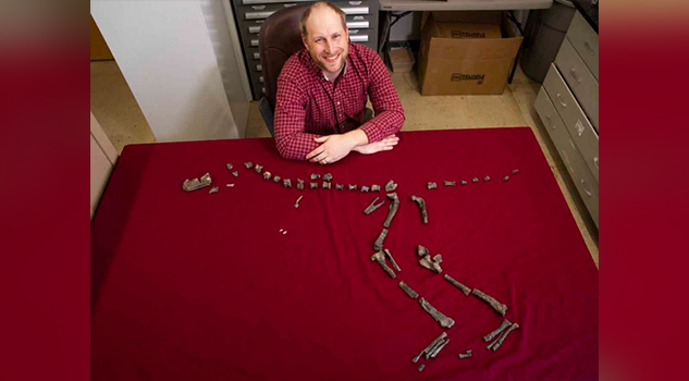 Hallan a 'primo pequeño' del T-Rex; medía solo un metro