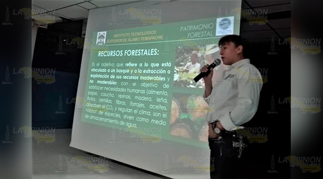 Año 2019, igual de catastrófico que 2011 por incendios