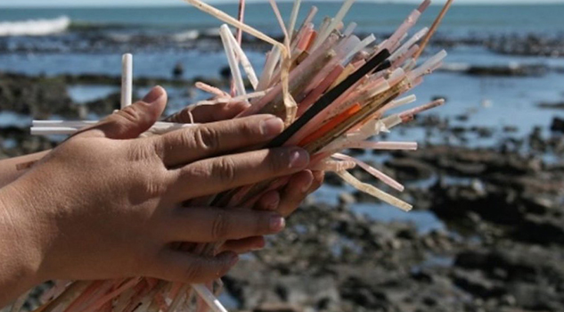 Prohíben uso de popotes y bolsas de plástico en Tabasco