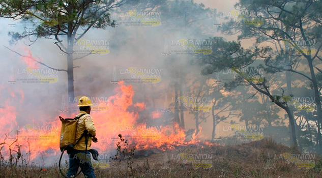 Alza en incendios de pastizales en Tuxpan; son provocados Alza en incendios de pastizales en Tuxpan; son provocados