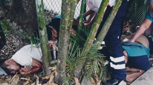 Tiroteo en zona metropolitana de Xalapa deja 3 muertos Balacera en Tuzamapan, localidad de Coatepec, Ver.; hay muertos y heridos