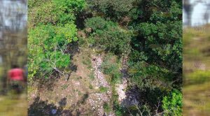 Desaparece adulto mayor de Olinta, Puebla, otro en Zozocolco de Hidalgo Desaparece adulto mayor de Olinta, Puebla, otro en Zozocolco de Hidalgo