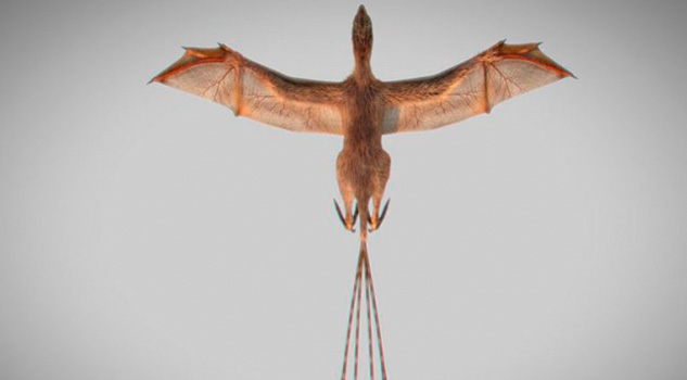 Descubren otro dinosaurio con alas de murciélago Descubren otro dinosaurio con alas de murciélago