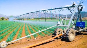 Destinan 930 mdp para el campo, pesca y acuacultura de Veracruz Destinan 930 mdp para el campo, pesca y acuacultura de Veracruz