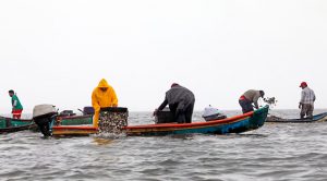 Destinan 930 mdp para el campo, pesca y acuacultura de Veracruz Destinan 930 mdp para el campo, pesca y acuacultura de Veracruz