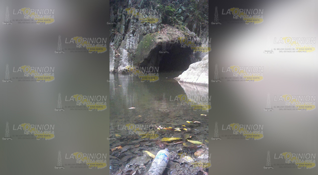 Contaminan manantiales, latente foco de infecciones