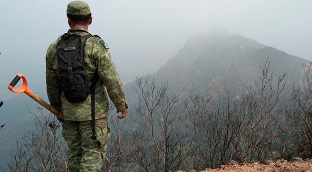 En Veracruz ya suman 133 incendios forestales En Veracruz ya suman 133 incendios forestales