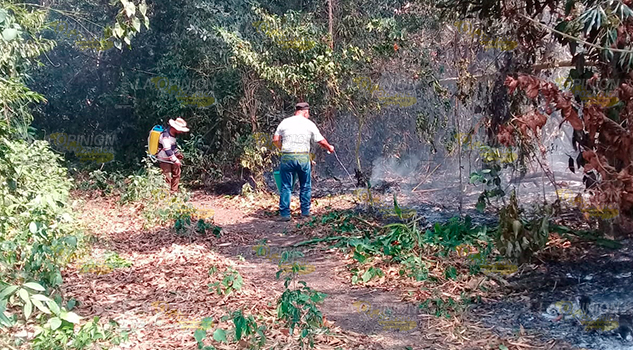 Fuego acaba con parcelas en la sierra del Totonacapan Fuego acaba con parcelas en la sierra del Totonacapan