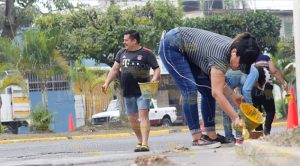 "Hermosean" avenidas en el Fraccionamiento Las Palmas en Poza Rica Hermosean avenidas en el Fraccionamiento Las Palmas en Poza Rica