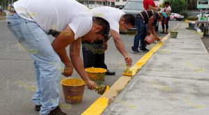 "Hermosean" avenidas en el Fraccionamiento Las Palmas en Poza Rica Hermosean avenidas en el Fraccionamiento Las Palmas en Poza Rica