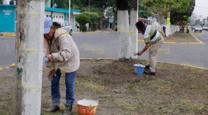 "Hermosean" avenidas en el Fraccionamiento Las Palmas en Poza Rica Hermosean avenidas en el Fraccionamiento Las Palmas en Poza Rica