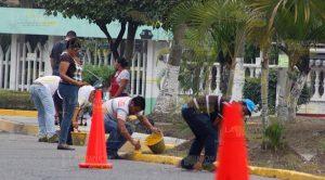 "Hermosean" avenidas en el Fraccionamiento Las Palmas en Poza Rica Hermosean avenidas en el Fraccionamiento Las Palmas en Poza Rica