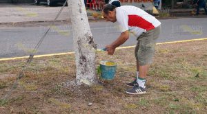 "Hermosean" avenidas en el Fraccionamiento Las Palmas en Poza Rica Hermosean avenidas en el Fraccionamiento Las Palmas en Poza Rica