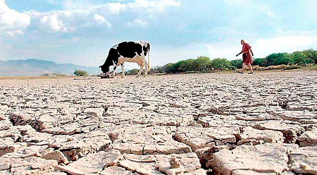 Incrementa a 74 los municipios afectados por sequía en Veracruz Incrementa a 74 los municipios afectados por sequía en Veracruz