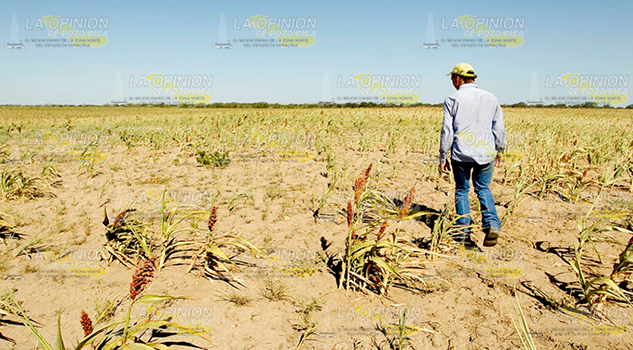 Desastre por sequía severa, SEGOB declara la alerta
