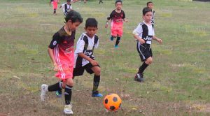 Lobos Poza Rica triunfa sobre Guerreros Lobos Poza Rica triunfa sobre Guerreros