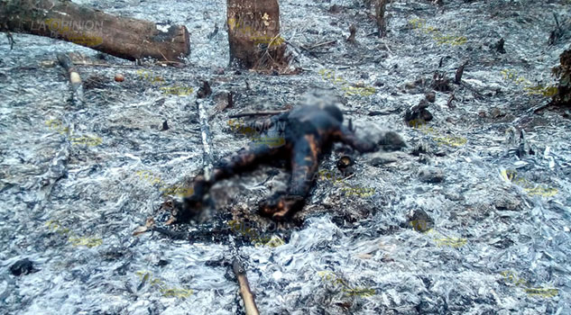Murió atrapado por un incendio en comunidad de Xicotepec de Juárez Octagenario muere quemado en localidad de Xicotepec, Puebla