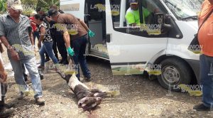 Pitbull ataca y mata a un anciano; lo desfiguró