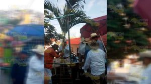 Tras polémica por tala de árboles en Filomeno Mata, ahora plantan "Palmitas" Tras polémica por tala de árboles en Filomeno Mata, ahora plantan Palmitas