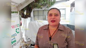 Crece población de mascotas en situación de abandono en calles de Tuxpan