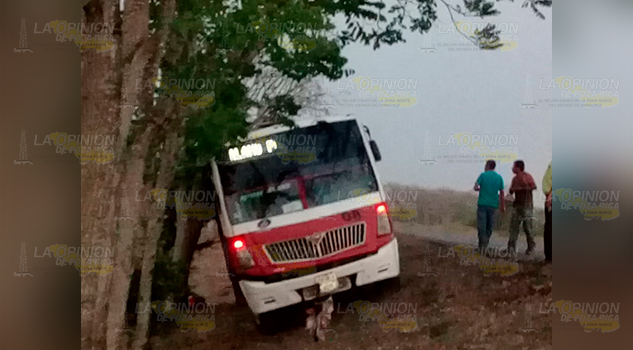 ¡Choca autobús Álamo!