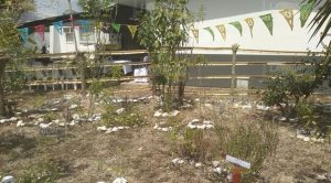 Inauguran huerto de medicina tradicional en el Centro de Salud Espinal