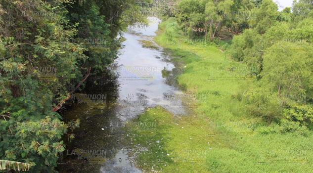Contaminado El Tancochin con aceite, en Naranjos