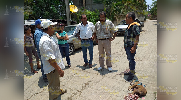 Cierra calle porque le mataron a su perro