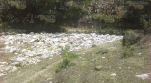 Buscan reforestar margen del arroyo, justo en el lugar conocido como las "Gotas"