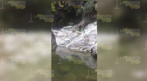 Buscan reforestar margen del arroyo, justo en el lugar conocido como las "Gotas"