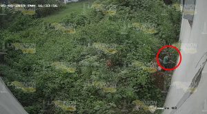 Fallido robo a ferretería en Tuxpan, intentó entrar mediante un hoyo en la pared