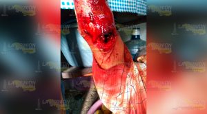 ¡Machetean a una familia en Tuxpan!